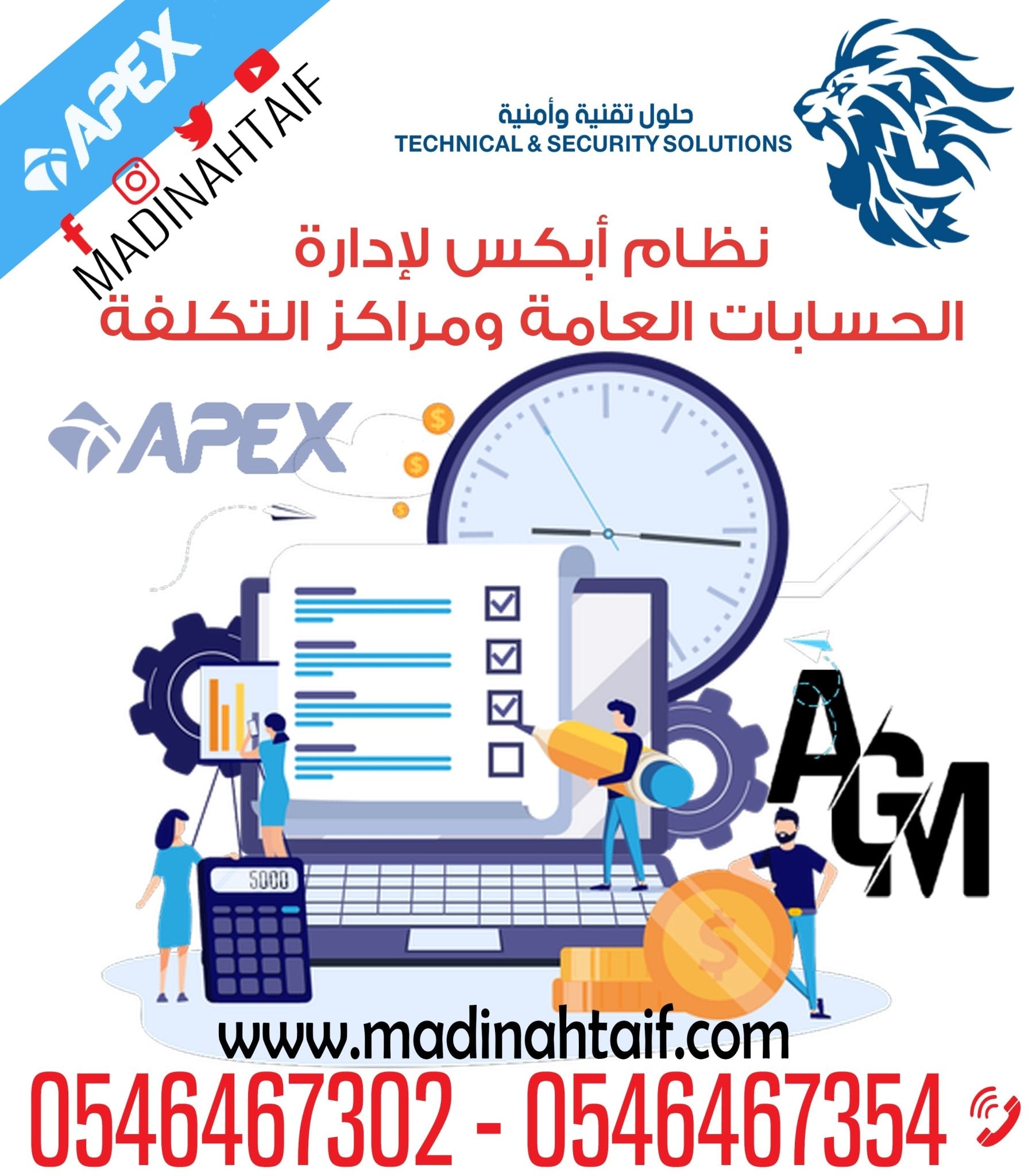 🔍 برنامج APEX للحسابات العامة ومراكز التكلفة – Apex General Ledger - MadinahTaif Store
